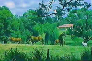 Doesn't it look pwetty. ;o)