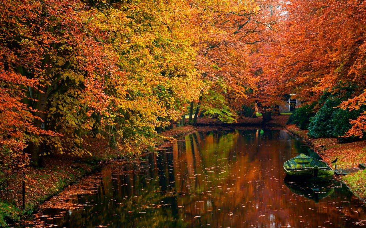 Autumn theme
